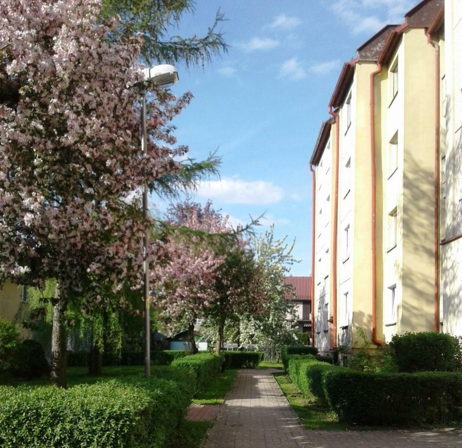 Apartament Jasminowy Appartement Kudowa-Zdrój Buitenkant foto